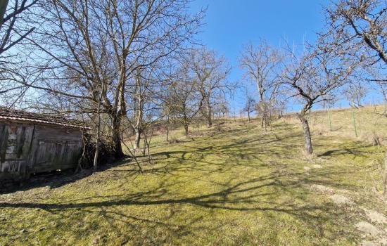 11bONysW5_fss?st=Plw02E30tJN1ZIvAL-SfKYpGEdYi5dMvBZWF4IImqBo&ts=1773084199&e=0