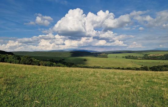 11SVS0TWU_fss?st=JKIXVUcLxW68m3_atWObzIaHC83Ca2mIlk3GYNy1eQA&ts=1764003833&e=0