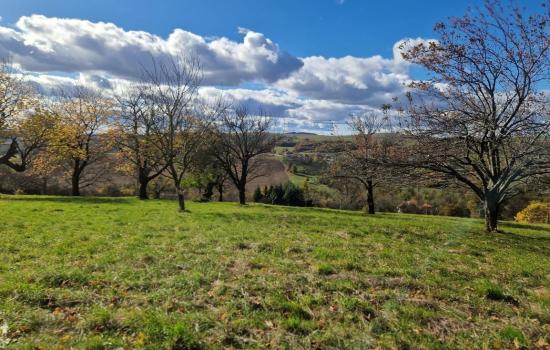 4MfKj7stN_fss?st=VSxlD78i9VABJTg8RfJFZ3re6Cc5rJ_CAvOCBWbweU8&ts=1764005408&e=0