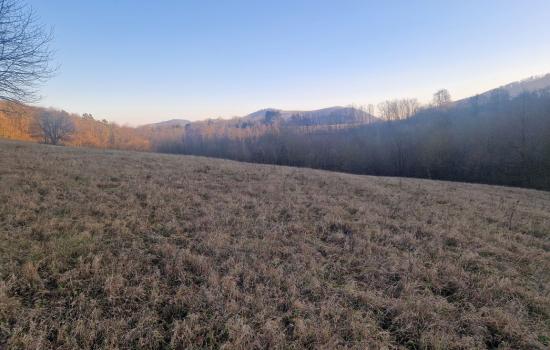 KEcYrHusm_fss?st=C0268Yy97D7XdzMVkdxVGull4a7KYaiG-1DomUieHR0&ts=1766915962&e=0