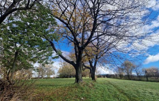 __r5fzEgw_fss?st=B5ric035YT6_MQjcXlF_iC5Bxw3MV_gw44yetntEO94&ts=1764005403&e=0