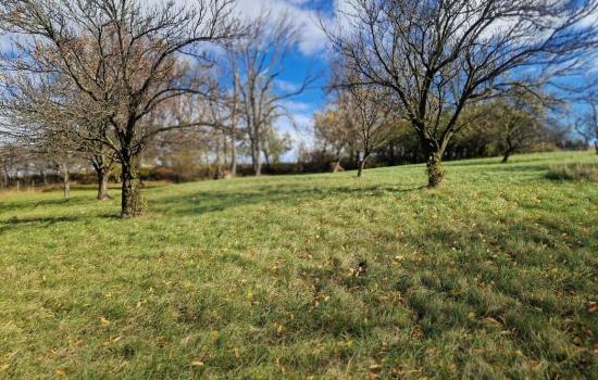 YFYhcPtX-_fss?st=7VRkyPTsahr5SuJvW33p_DOTX0qD2KPC2Lke7WLyLUI&ts=1764005424&e=0