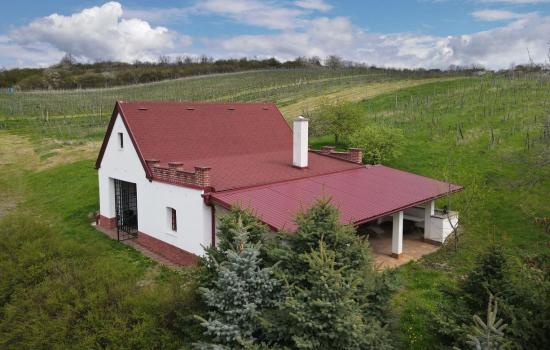 Štýlový dom v krásnom prostredí viníc, ideálny pre pokojné bývanie