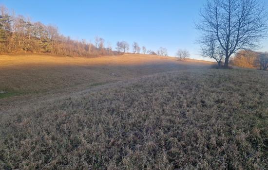 4yzGT2gbx_fss?st=mq9b7UVMuDHCeFyWc7oSNBKumG4HdC-RxQnKDjTl05Y&ts=1766915971&e=0