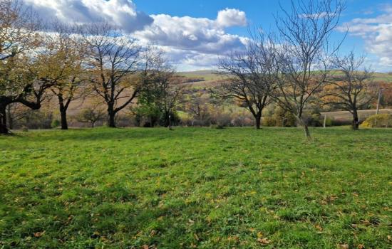 jfHXLUY-H_fss?st=zXZCqr7X-hckutNbOt9-dXnEc9AOBnlgt2-0DusFJ08&ts=1764005396&e=0