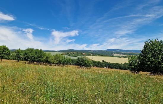 Exkluzívny pozemok s kúskom vlastného lesa a panoramatickým výhľadom – Rudník