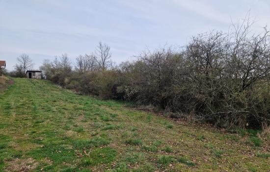 vMt40JkAt_fss?st=OvKLgznM8G0aAp8i2WPuwWbjZ1pZjjkHqGSJvkqDFXQ&ts=1775662490&e=0