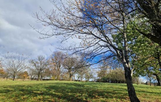 gP1T2cEWe_fss?st=bWA2qIHCxynyAPZiwtwKVvMgriFHL-gL527dfyN4mD4&ts=1764005430&e=0