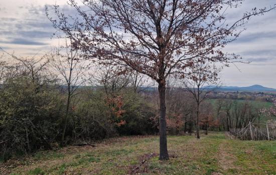 jrwq8fvQ1_fss?st=vrGiv9hPOsvR2t-hBXnvNsTGLfyHSPZa7EkU52muFGY&ts=1775662466&e=0