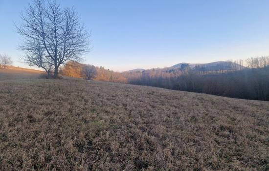 Na predaj pozemok obklopený lesmi a lúkami na samote