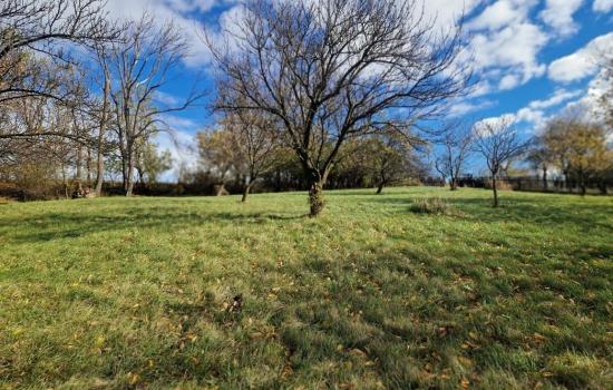 NIkiZd78o_fss?st=hsPfpTqaQPwVgyZ48rCwv-M2Hl-P4gnZXiqnTZ9QdLs&ts=1764005411&e=0