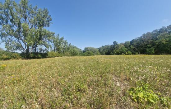 Výnimočný rovinatý pozemok 6 026 m² v Slepčanoch – ideálny na moderné agropodnikanie, farmárčenie či ovocný sad