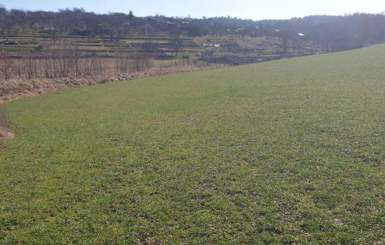 389Ezwqlo_fss?st=LBsQiDw_8aLWX3AE093gQ9sS_gP7FBUc-_XMTy8qg_Q&ts=1761581585&e=0