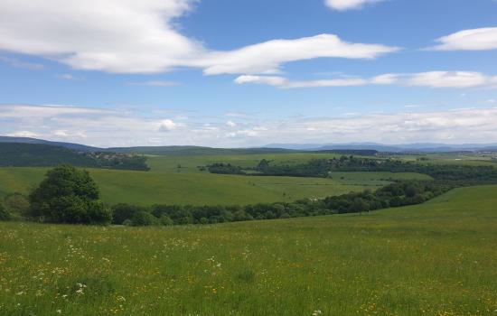 gkpb-lDBl_fss?st=MZAbYNnkIdNGuZ2oZQoT-PBLgc8KhEaCsgbUel76bX8&ts=1764003849&e=0