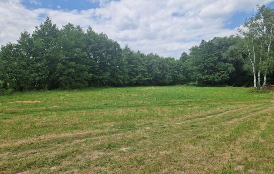 OZdjjQMaU_fss?st=_hjPiuEzGpY_c5QVDcUaJtezC40zOEo7xfsVf8qfLJg&ts=1765966791&e=0