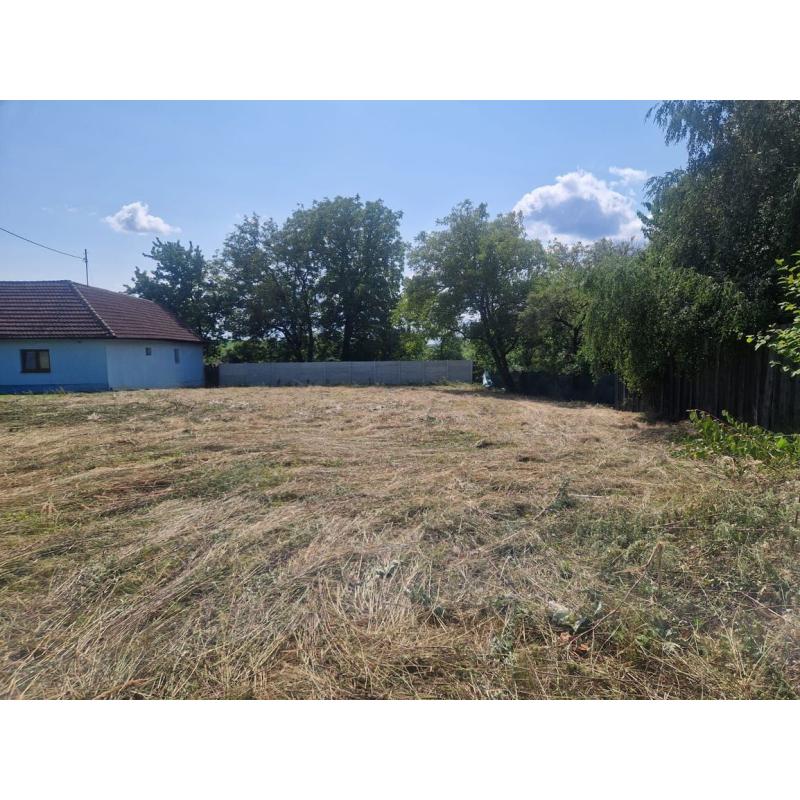 leKFanOQ6_fss?st=Y4mH1kymjYbiHKk_jQzbz0TzqPKkR0oE_sEd9Q527Ks&ts=1754674314&e=0