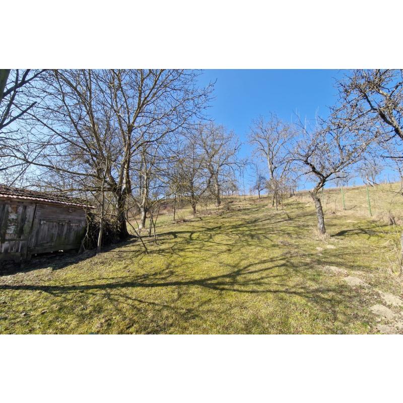 11bONysW5_fss?st=Plw02E30tJN1ZIvAL-SfKYpGEdYi5dMvBZWF4IImqBo&ts=1773084199&e=0