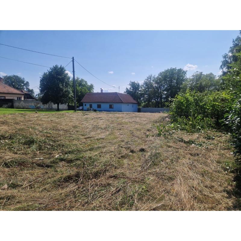 JbkBZCoZ-_fss?st=8ogQ4Ql5Qm7-BBwRpargR1TR37ltLeaIHoyNUbTcKso&ts=1754674314&e=0