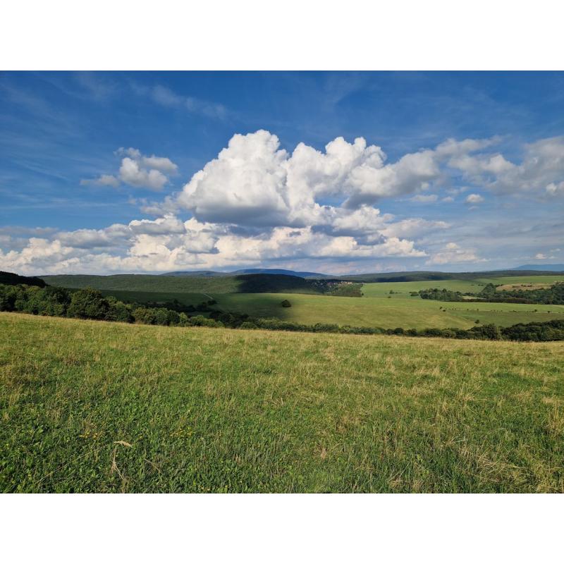 11SVS0TWU_fss?st=JKIXVUcLxW68m3_atWObzIaHC83Ca2mIlk3GYNy1eQA&ts=1764003833&e=0