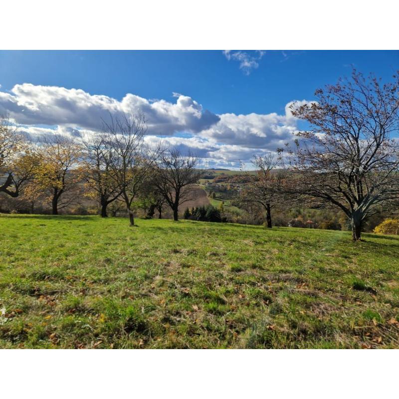 4MfKj7stN_fss?st=VSxlD78i9VABJTg8RfJFZ3re6Cc5rJ_CAvOCBWbweU8&ts=1764005408&e=0