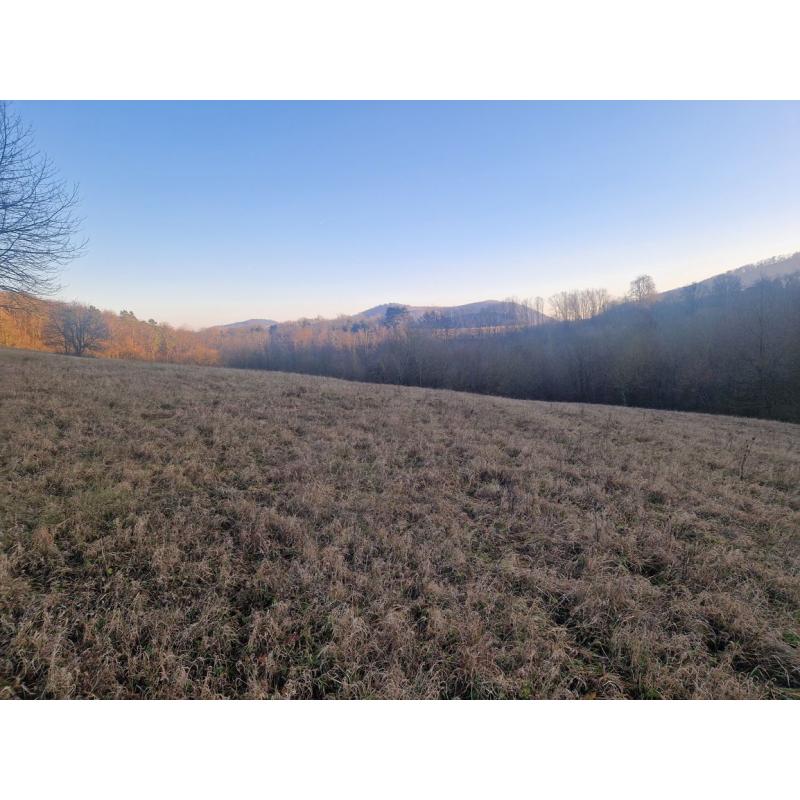 KEcYrHusm_fss?st=C0268Yy97D7XdzMVkdxVGull4a7KYaiG-1DomUieHR0&ts=1766915962&e=0