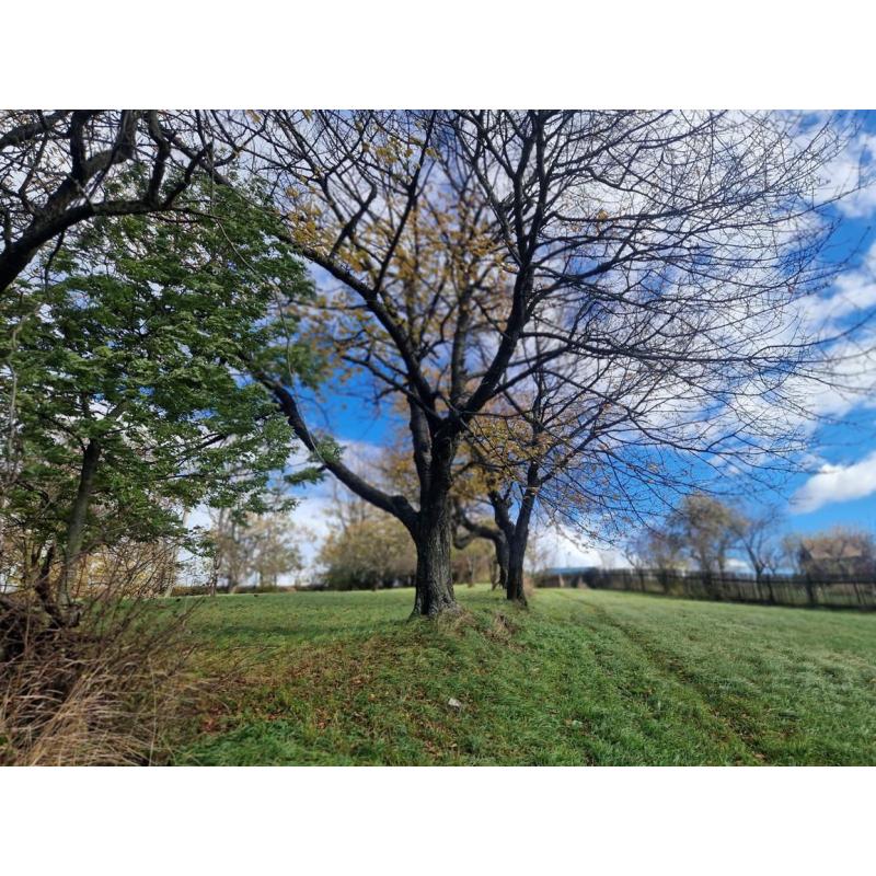 __r5fzEgw_fss?st=B5ric035YT6_MQjcXlF_iC5Bxw3MV_gw44yetntEO94&ts=1764005403&e=0