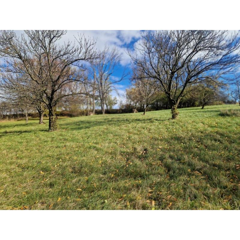 YFYhcPtX-_fss?st=7VRkyPTsahr5SuJvW33p_DOTX0qD2KPC2Lke7WLyLUI&ts=1764005424&e=0