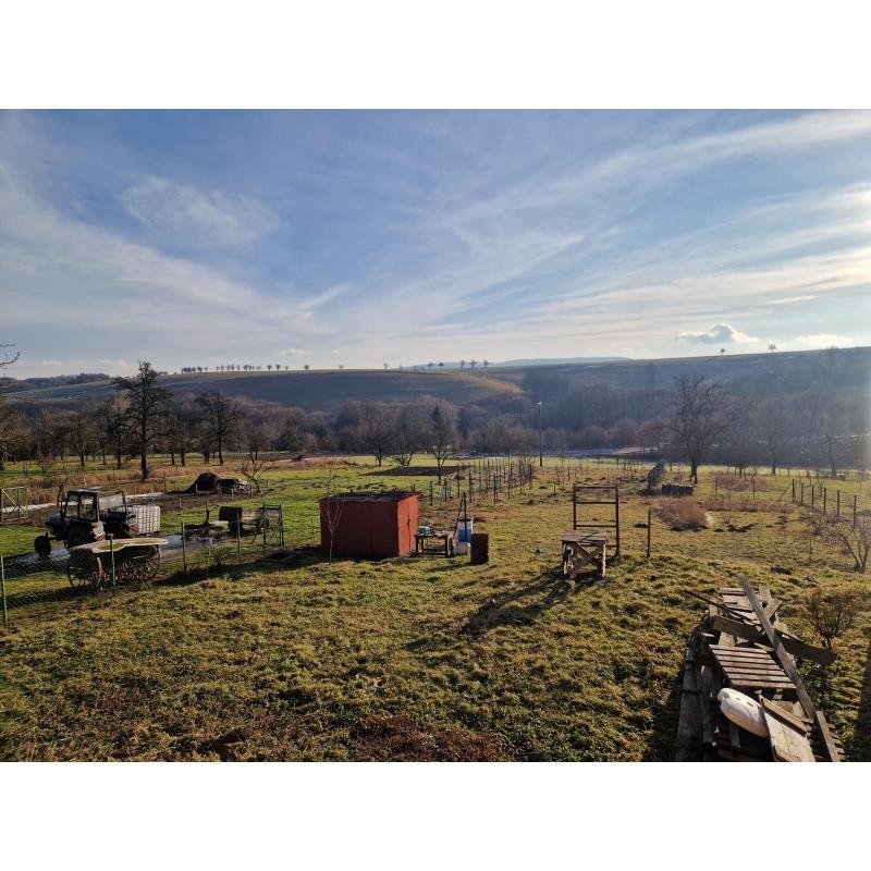 yFqfjLgCb_fss?st=pf3D3Y_dOx5xo2dIF7kpWiJCcGtm5pjuRzSNtBLdNXQ&ts=1769454705&e=0