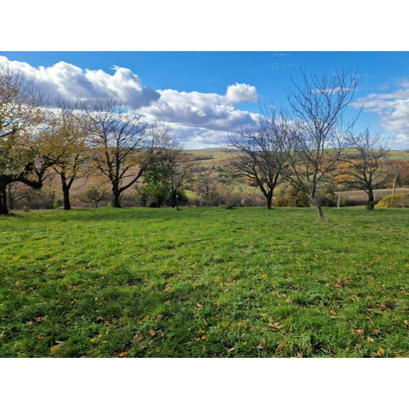 jfHXLUY-H_fss?st=zXZCqr7X-hckutNbOt9-dXnEc9AOBnlgt2-0DusFJ08&ts=1764005396&e=0