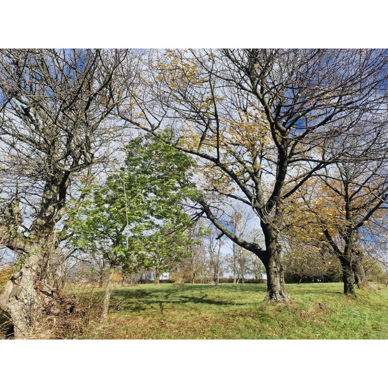 _XHmbxwkM_fss?st=8udHUiDeMg3UzcqCjKse5aqM-tKDNaqfF62ZALxGL6M&ts=1764005434&e=0