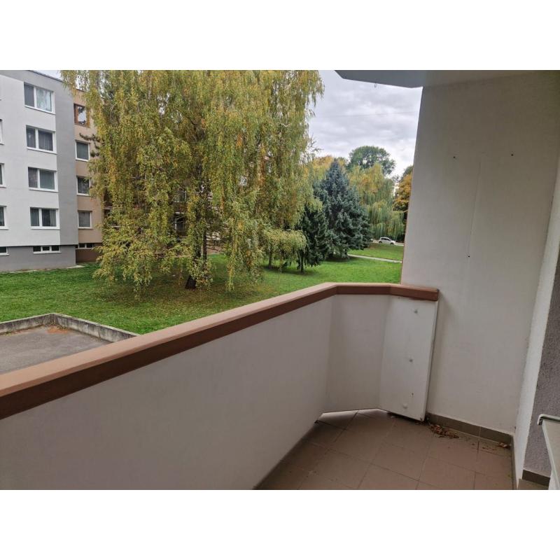 5iRVegcZc_fss?st=Df039SS9kBcwhroVo-7UqVDBqSf1lsPvWI83PvEVF38&ts=1760887880&e=0