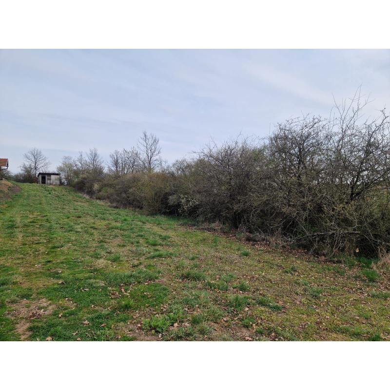 vMt40JkAt_fss?st=OvKLgznM8G0aAp8i2WPuwWbjZ1pZjjkHqGSJvkqDFXQ&ts=1775662490&e=0