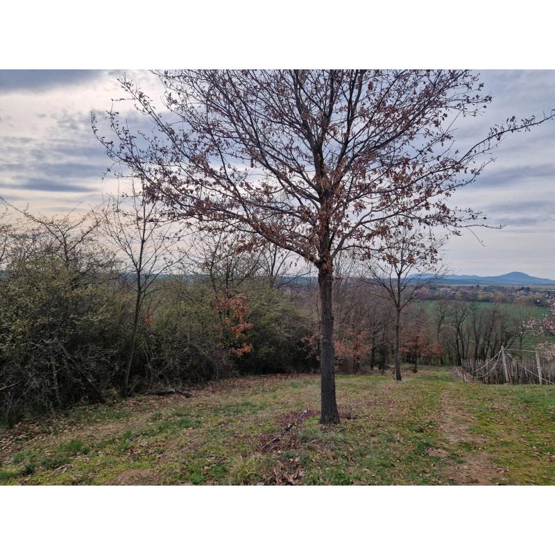 jrwq8fvQ1_fss?st=vrGiv9hPOsvR2t-hBXnvNsTGLfyHSPZa7EkU52muFGY&ts=1775662466&e=0