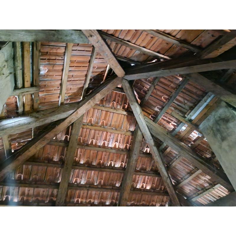 eyQBvuhtv_fss?st=imPKwVMv57ja_fK4DFGnWEvVYc8kzSsCJWRKDaOh2AE&ts=1773084654&e=0