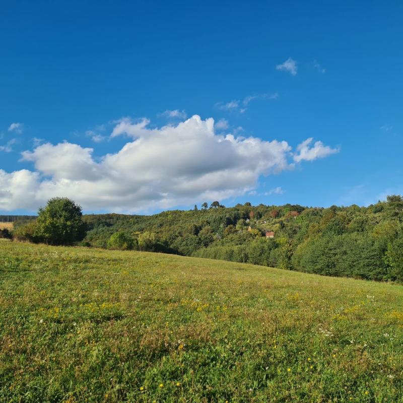 Dq7cD6uHS_fss?st=Yx6Jn7yLbXHApTHv3h4CK1ExTUsXwLGBNbR5lgrineU&ts=1757494420&e=0