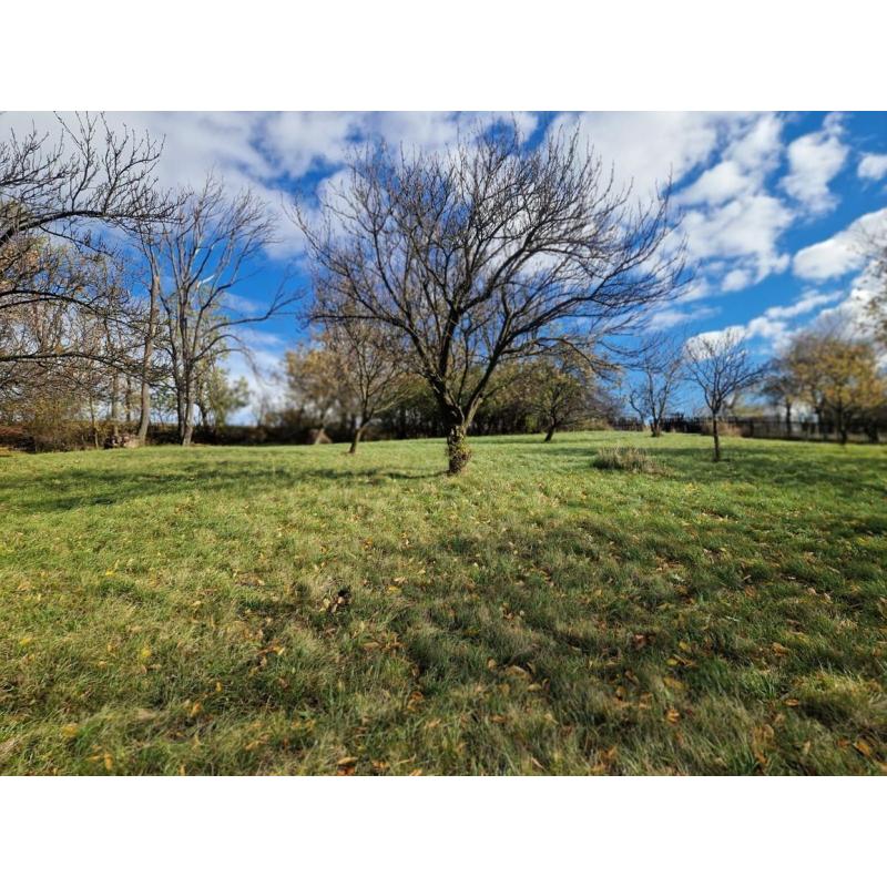 NIkiZd78o_fss?st=hsPfpTqaQPwVgyZ48rCwv-M2Hl-P4gnZXiqnTZ9QdLs&ts=1764005411&e=0