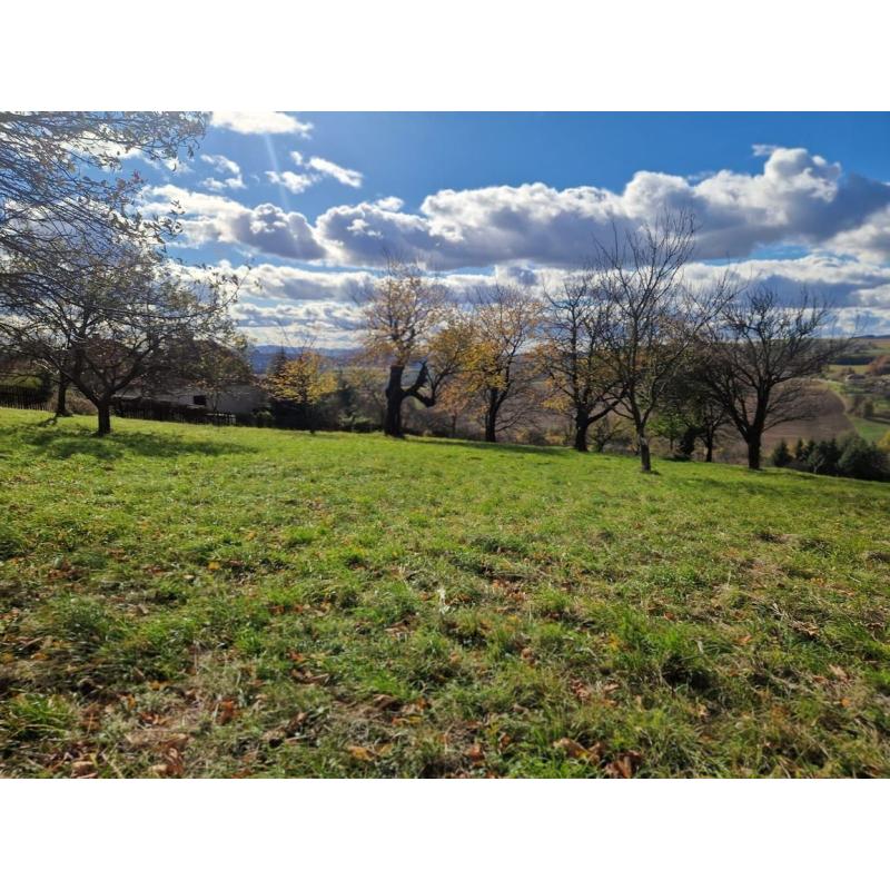 r6PDe4jr__fss?st=8Ek3xUwMo23HWNeLumFlPxjDbxjimFiVkGbhuFVskxQ&ts=1764005415&e=0