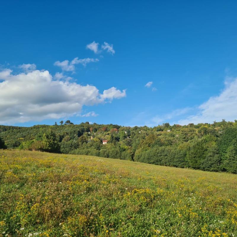 UfsIh5lgL_fss?st=89puWufOMQT7kwhQ2uynNYITRfZobjliAq2S-9jVOZA&ts=1757494408&e=0