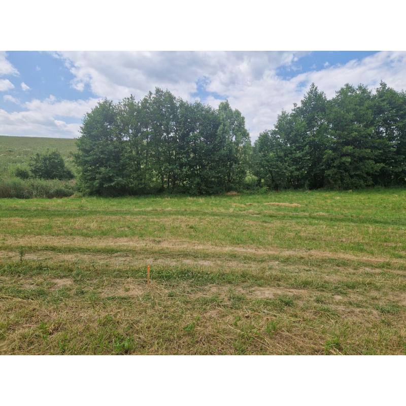 j1N6idhfL_fss?st=dhaFO0TYWZib9SsMJA9Cz_Vjf8lYoGUPhFAVHx4g9aY&ts=1765966814&e=0