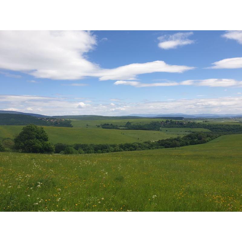 gkpb-lDBl_fss?st=MZAbYNnkIdNGuZ2oZQoT-PBLgc8KhEaCsgbUel76bX8&ts=1764003849&e=0