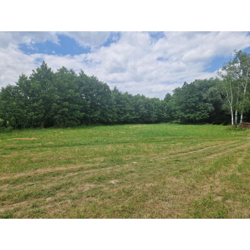 OZdjjQMaU_fss?st=_hjPiuEzGpY_c5QVDcUaJtezC40zOEo7xfsVf8qfLJg&ts=1765966791&e=0